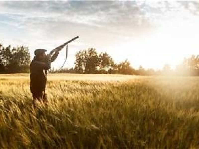 Arrêté portant règlementation de la pratique de la chasse 2026